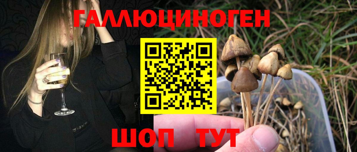 Галлюциногенные грибы MAGIC MUSHROOMS  Вход с VPN  Псилоцибиновые грибы Psilocybe  Салехард 